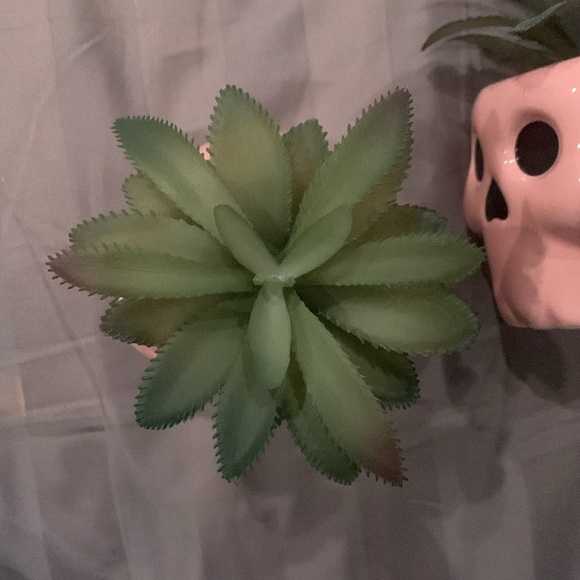 A set of two pink skull fake plant decor. - Picture 3 of 4